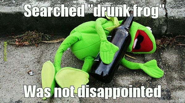 Drunk Kermit - meme