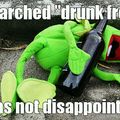 Drunk Kermit