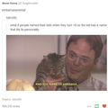Dwight. Just Dwight.