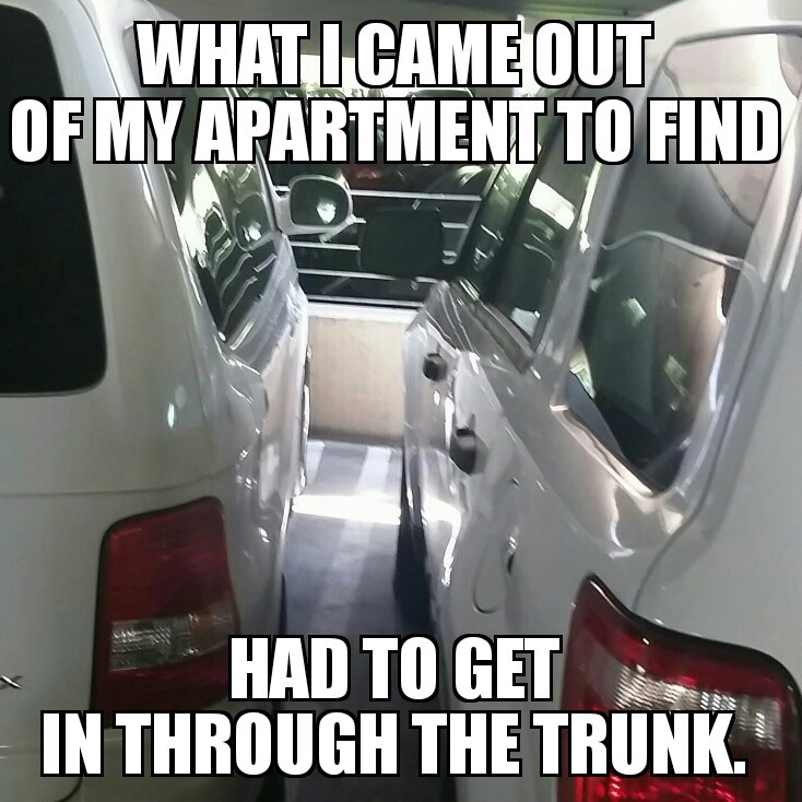 Asshole parking - meme