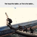 the ladder