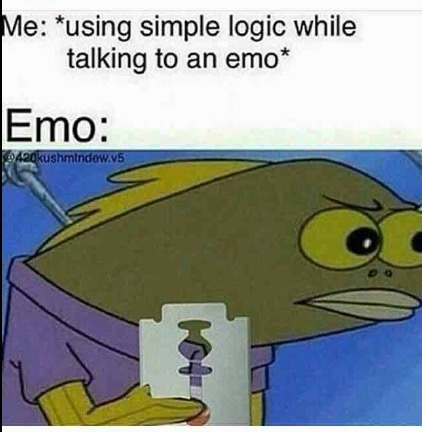 I hate emo people, mainly because they seek attention - meme