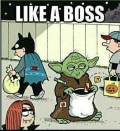 Yoda pls Stop xD - meme