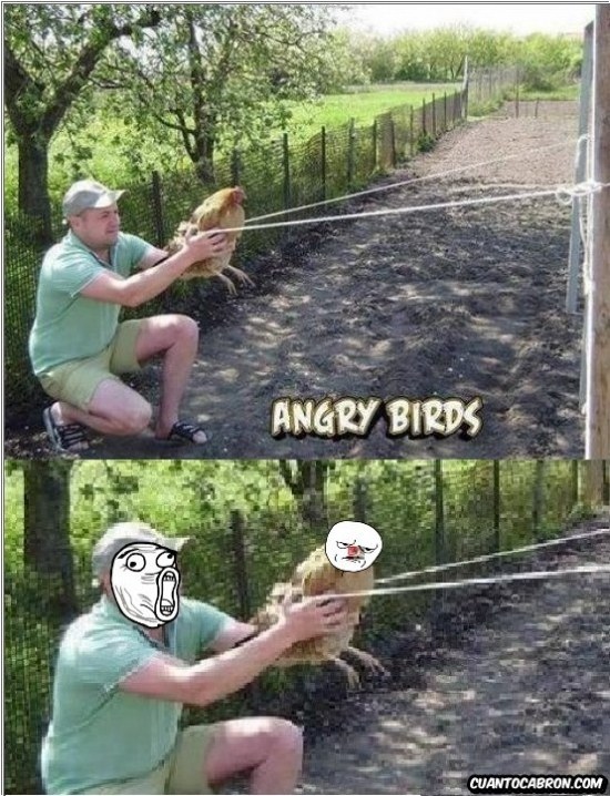 Angry birds nivel genius - meme