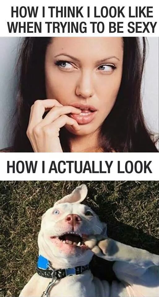 That bitch is pretty sexy.......the dogs cute too :') - meme
