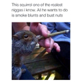 That's my squirrel
