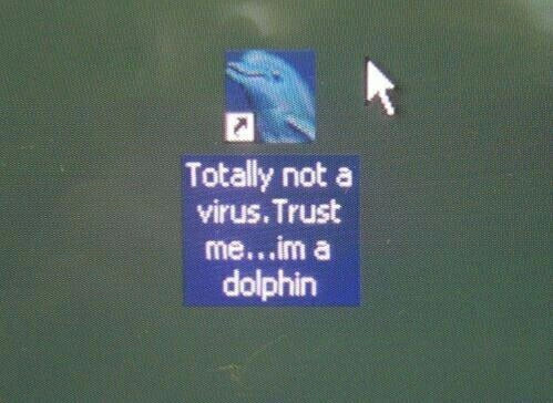 Dolphins are friends - meme