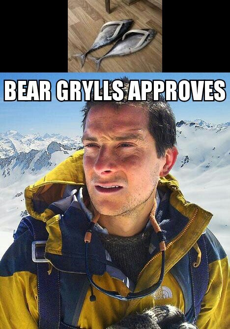 Bear Grylls like fish shoes - meme