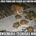 Ninja Turtles XD