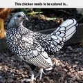 this chicken