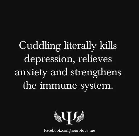 Cuddling is good for you. o: but no cuddles for me.. :c - meme