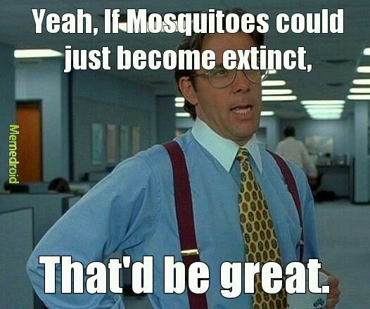Fuck mosquitoes - meme