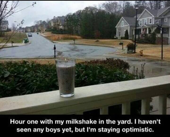 I am startin to think my milkshake doesn't bring all the boys to the yard - meme