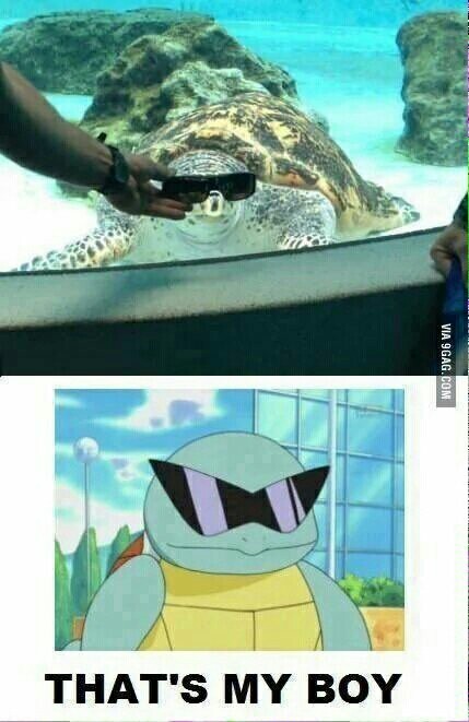 Squirtle! Squirtle! - meme
