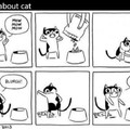 Logique de chat