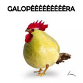 Galopeeeeeeeeeeeiraaaaaaa