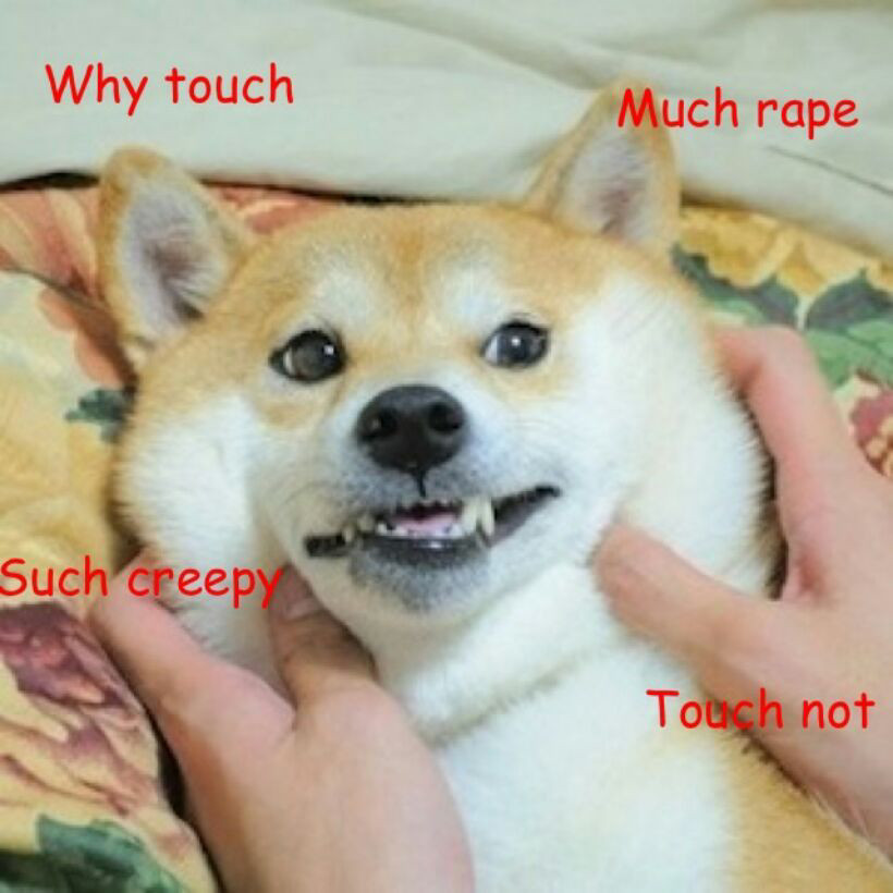 Uncomfortable doge is uncomfortable - meme