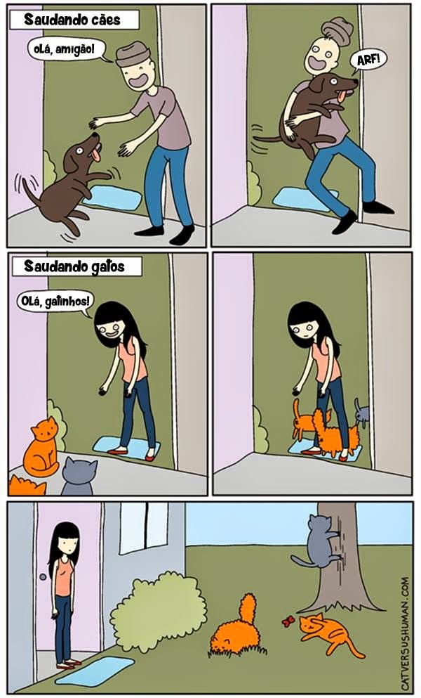 Catchurros >>>>>>> Gatos - meme