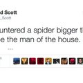 Spider.
