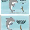 Tubarões Sendo Tubarões :v