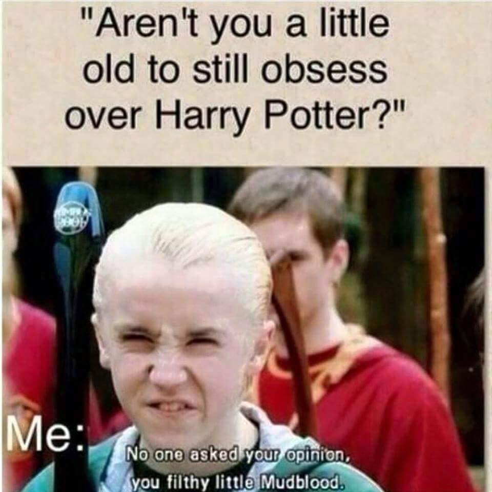 Harry Potter and the Chamber of Memes 