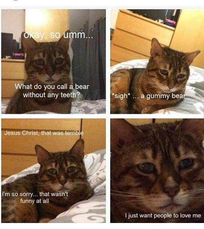 bad kitty - meme