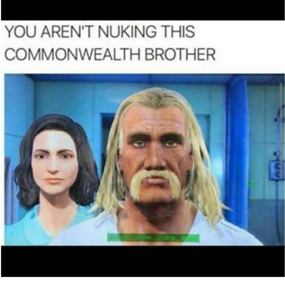 "Commonwealth" - meme