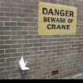 Watch out! We got a crane over here!