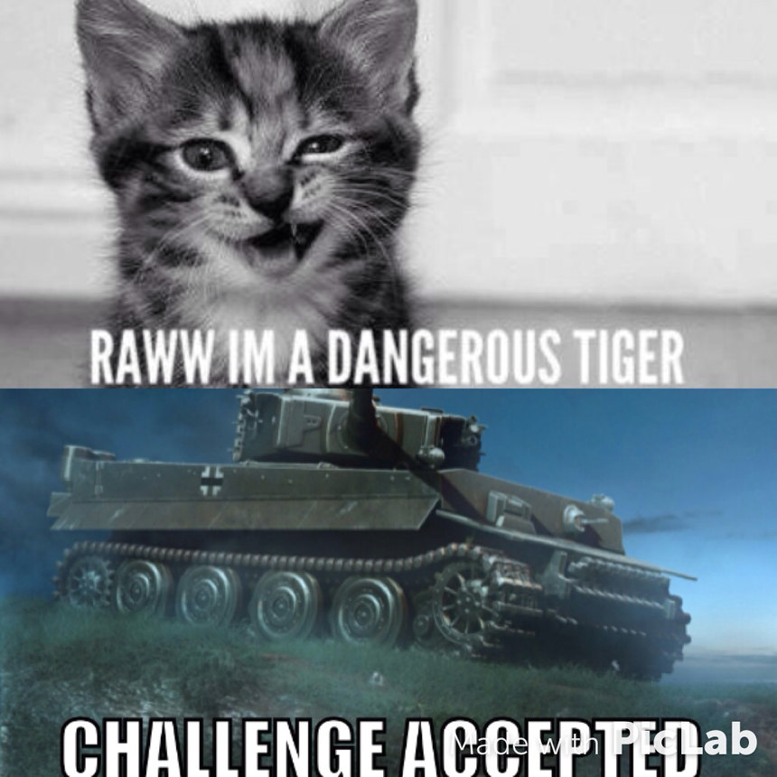First comment is tiger tank, second comment is shot by tiger! - meme