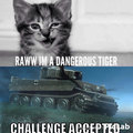 First comment is tiger tank, second comment is shot by tiger!