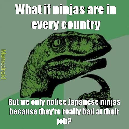 Ninjas? - meme