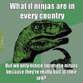 Ninjas?