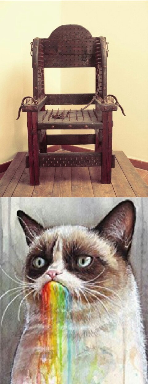 Grumpy cat - meme