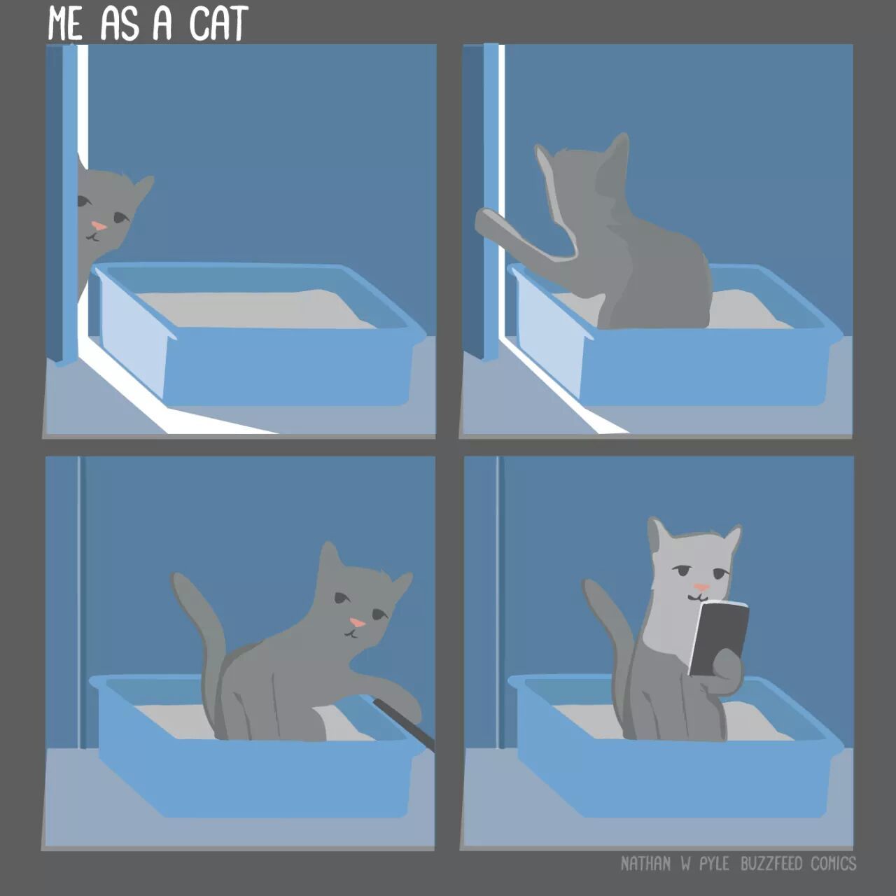 I need to get me a kitten someday - meme