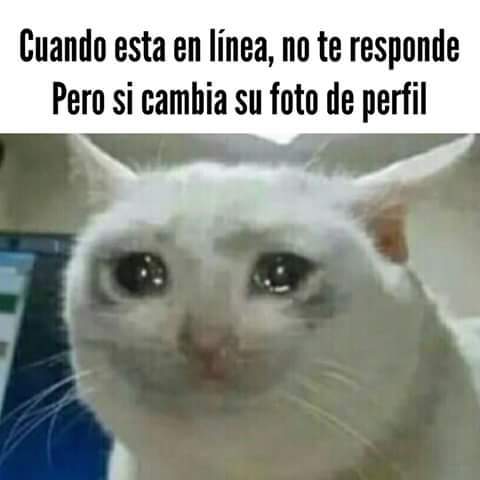 El titulo se fue a llorar - Meme subido por Zzzzzzz :) Memedroid