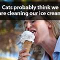 These humans must get their ice cream really clean