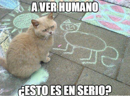 Really human?... - meme