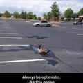 like the goose