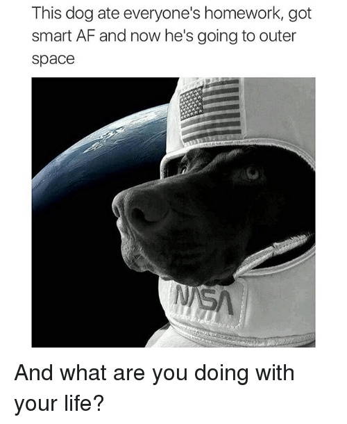 Puppers' NASA Supper - meme