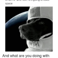 Puppers' NASA Supper