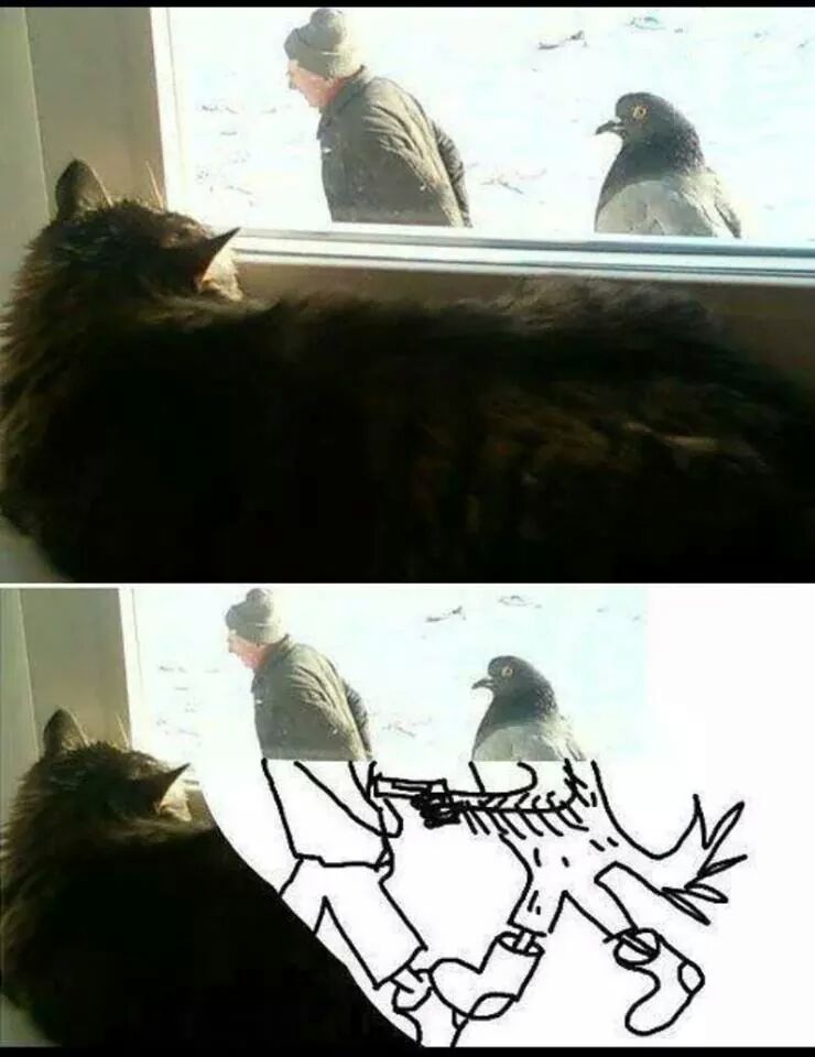 Badass pigeon! - meme
