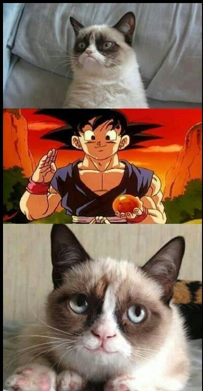 Goku ayuda a todos - meme