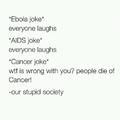 Stupid Society