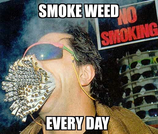 Smoke weed - meme