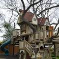 This is not a treehouse, it's a tree mansion