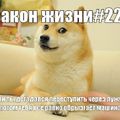 commented item thumbnail