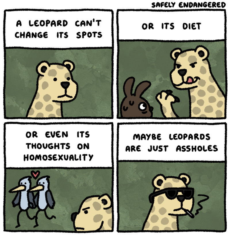 leopard - meme