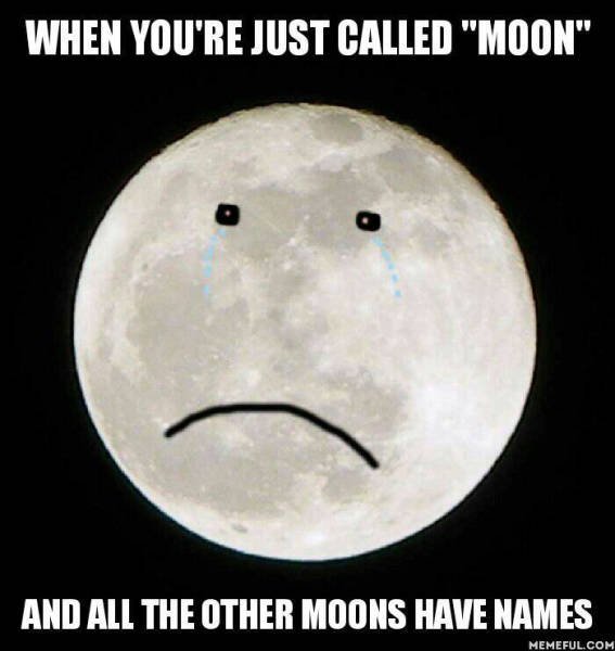 the real moon moon - meme