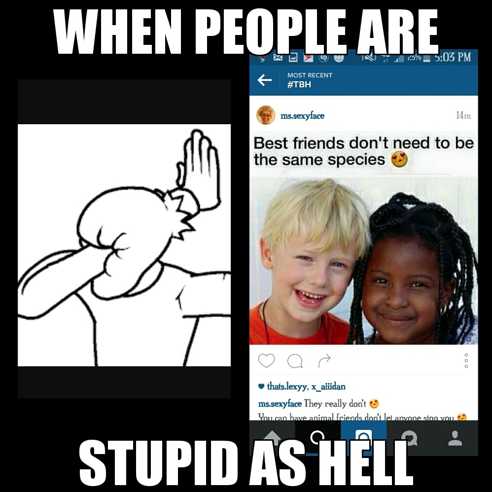 Stupid Ppl these days... - meme
