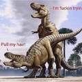 T-Rex like it rough....